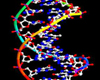 新規サービス-PDOX-