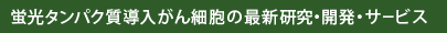 蛍光タンパク質導入がん細胞の最新研究・開発・サービス