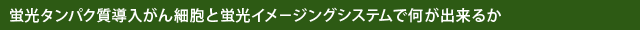 蛍光タンパク質導入がん細胞と蛍光イメージングシステムで何が出来るか