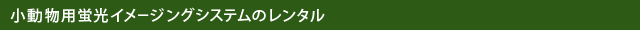 小動物用蛍光イメージングシステムのレンタル
