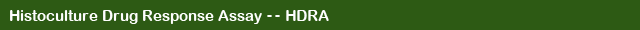 Histoculture Drug Response Assay HDRA