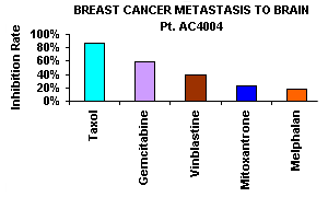 脳への乳がん転移グラフ