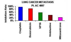 肺がんの転移グラフ